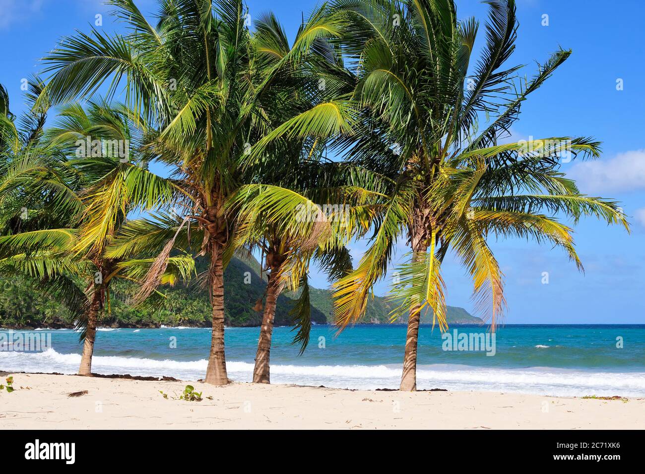 Der Blick auf das wunderschöne tropische Karibische Meer, nahe Rincon, Dominikanische Republik Stockfoto