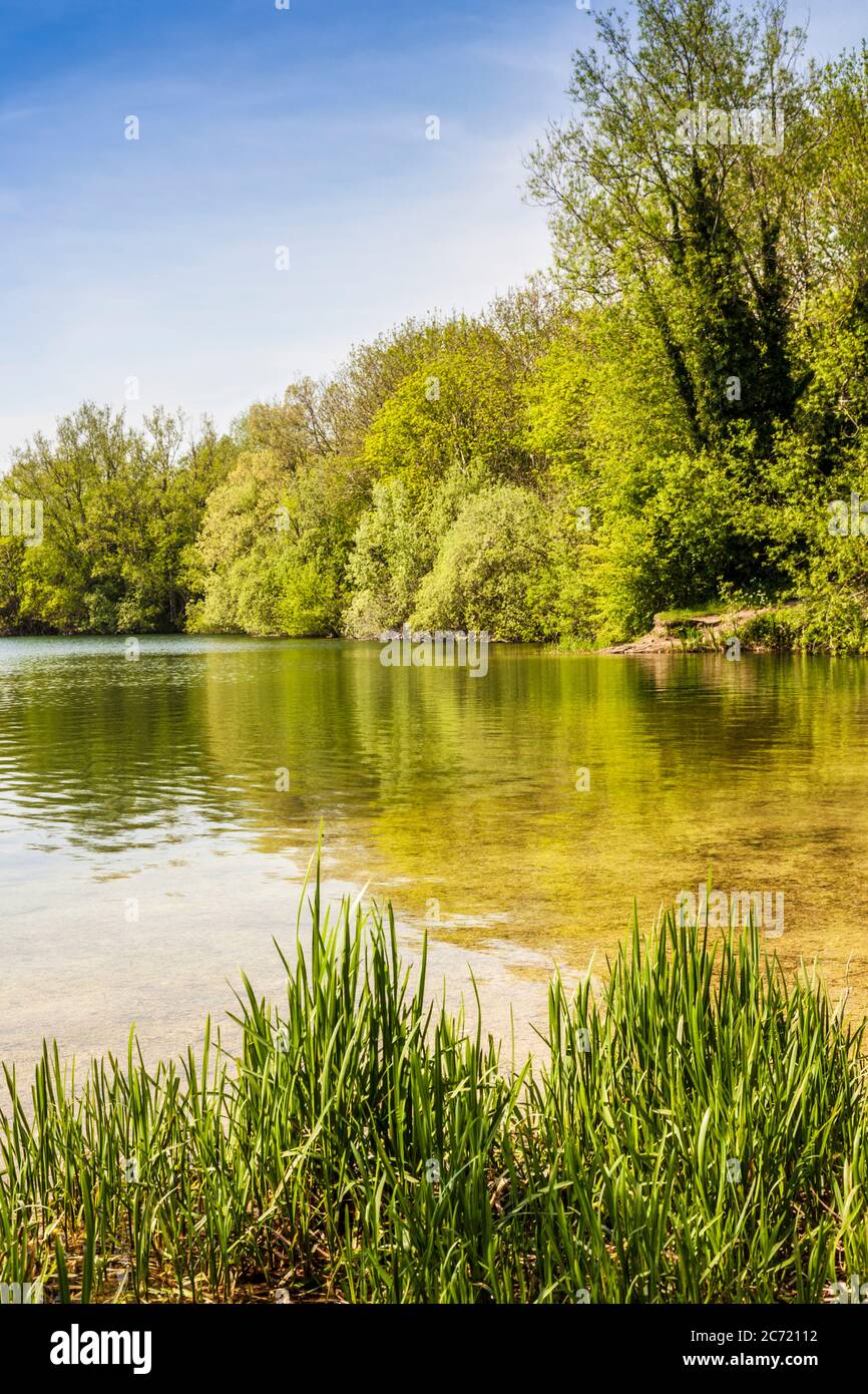 Einer der Seen im Cotswold Water Park. Stockfoto