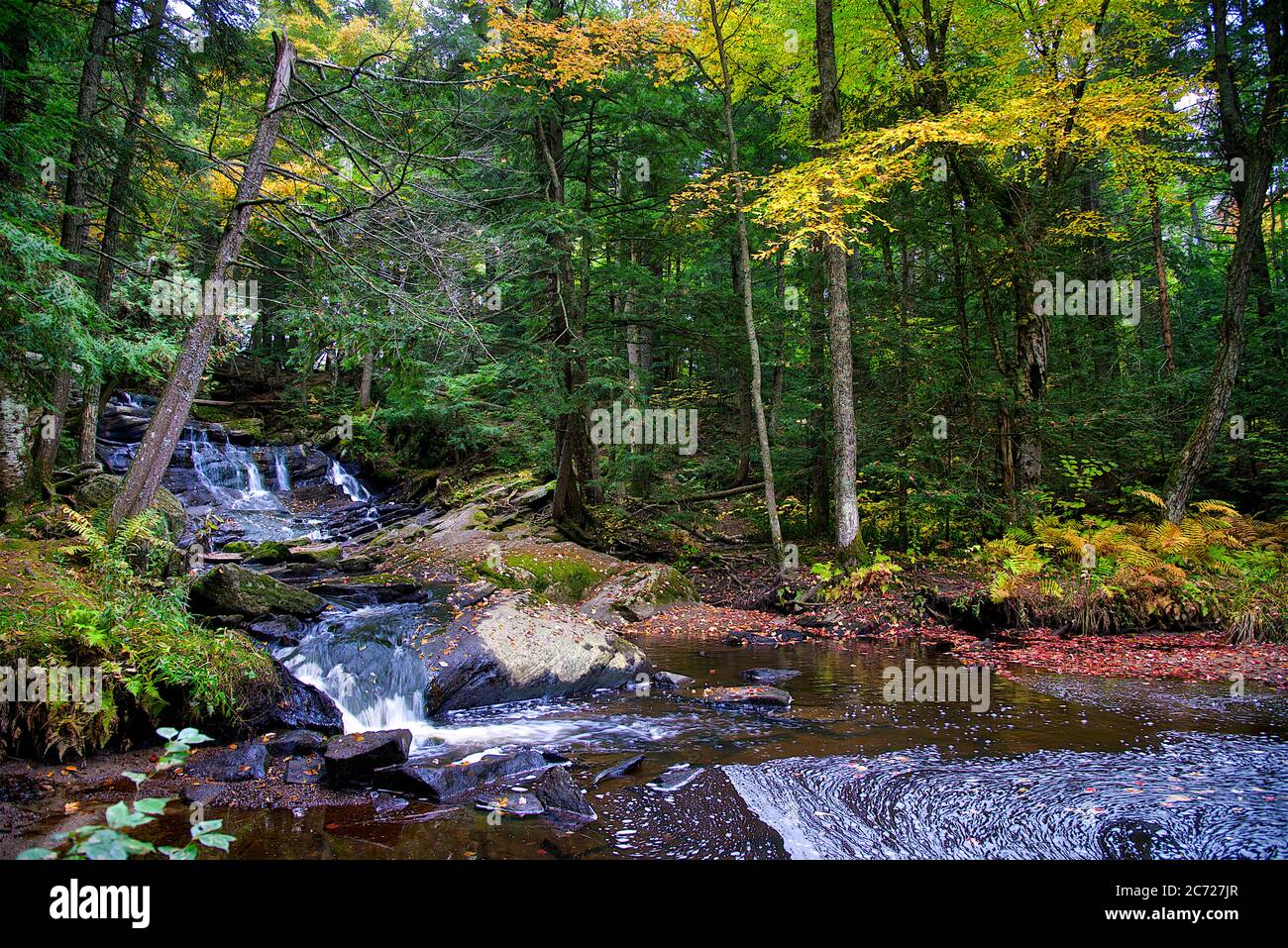 Schöner Wasserfall in einem öffentlichen Park in Muskoka im Herbst. Stockfoto