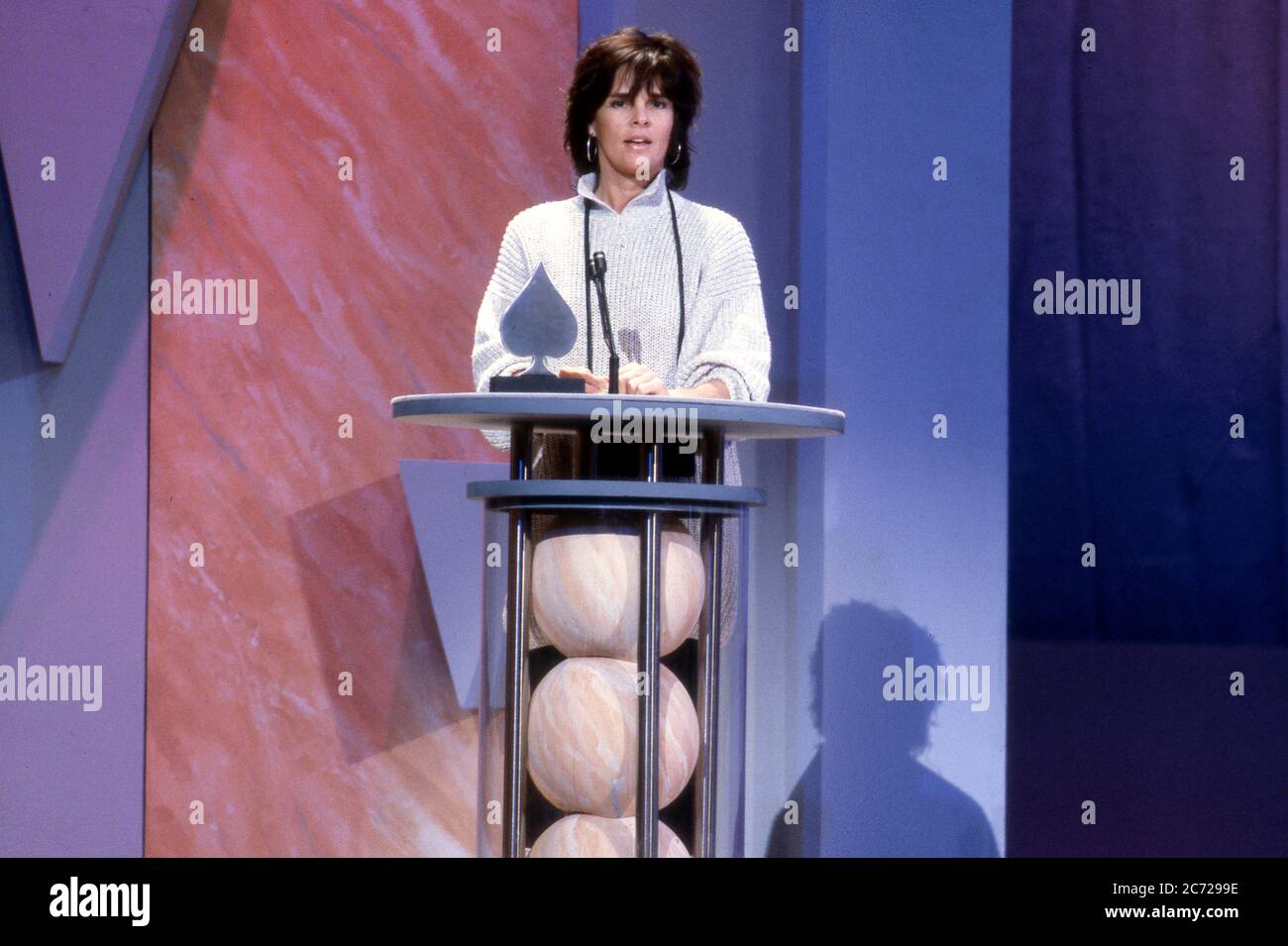 Schauspielerin Ali McGraw bei der Cable Ace Preisverleihung 1987 Stockfoto