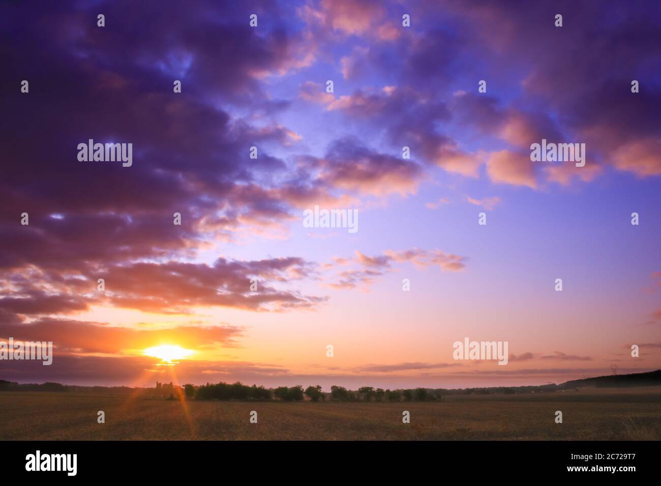 Atemberaubender Sonnenuntergang über einem Wald. Lichtstrahlen durch die Wolken in einem romantischen Himmel. Ferienlandschaft im Sommer. Grasfelder im Untergrund. Stockfoto