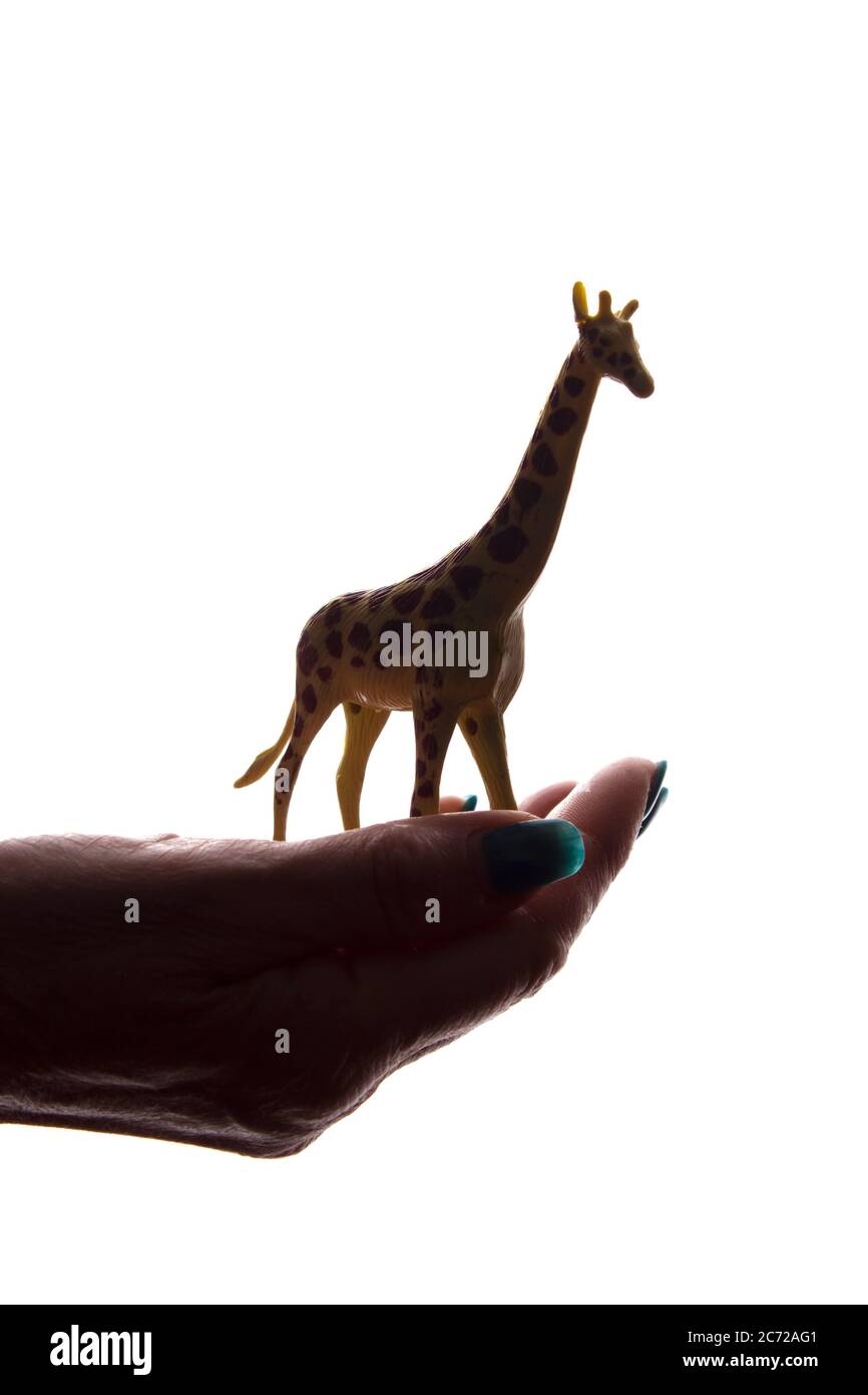 Frauenhände mit einer seltenen bedrohten Tierfigur - dunkel isoliert Silhouette, Konzept zum Schutz der Tiere vor dem Aussterben Stockfoto