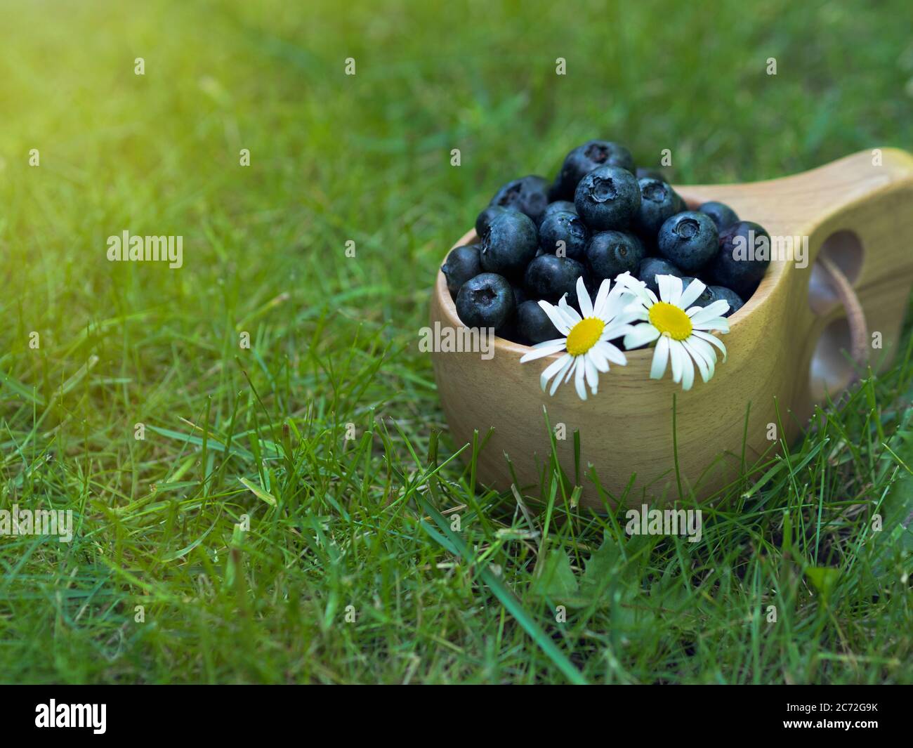 Frische Heidelbeeren in Holzbecher auf dem Gras. Gesunde Bio-Lebensmittel. Brombeeren in einem Holzbecher. Stockfoto