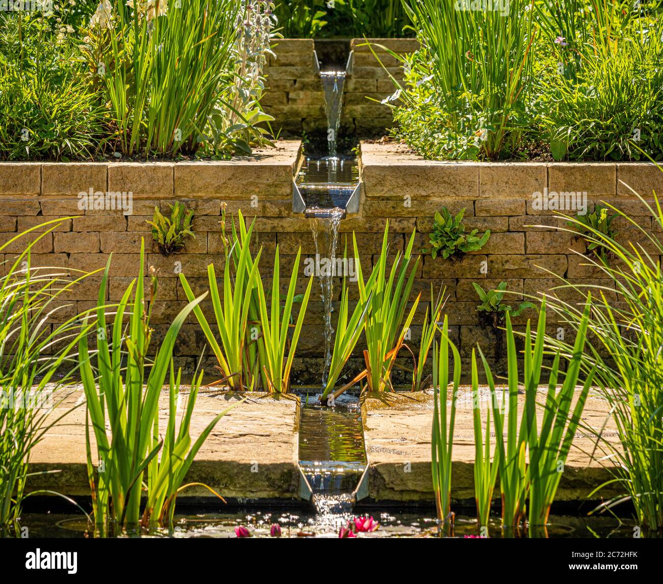 Rill fließt in den rechteckigen Seerosenteich des edwardianischen Gartens bei RHS Harlow Carr. Harrogate, North Yorkshire, Großbritannien Stockfoto