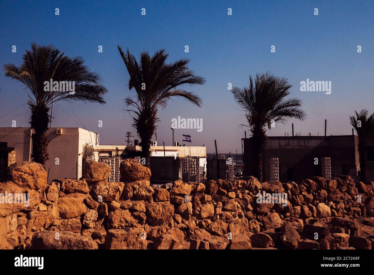 Palmen, das Tote Meer Schriftrollen Israel. Stockfoto