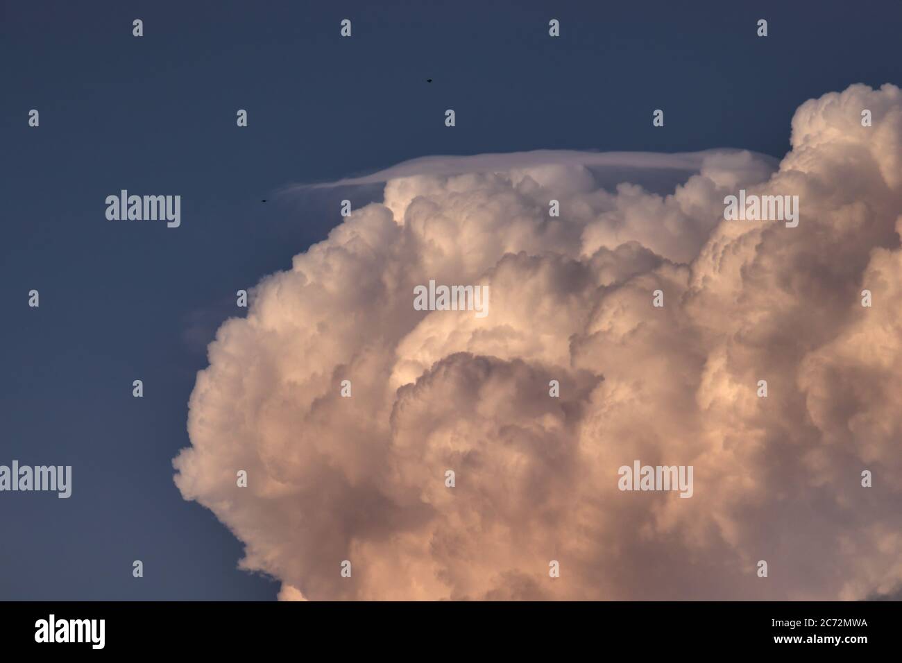 Große weiße Cumulus Wolke mit Pileu, die unter einem nebligen blauen Himmel aufsteigt. Stockfoto