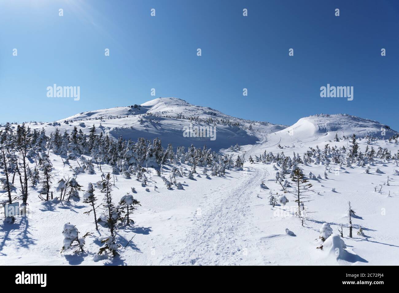 Mount Marcy Ski Trail, Adirondack Mountains, Winter, ADK, Eastern High Peaks, New York, Adirondack Park, Van Hoevenberg Trail. Stockfoto