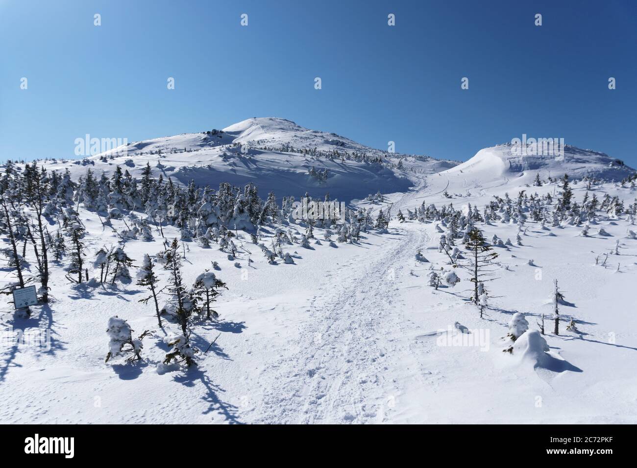 Mount Marcy Ski Trail, Adirondack Mountains, Winter, ADK, Eastern High Peaks, New York, Adirondack Park, Van Hoevenberg Trail. Stockfoto