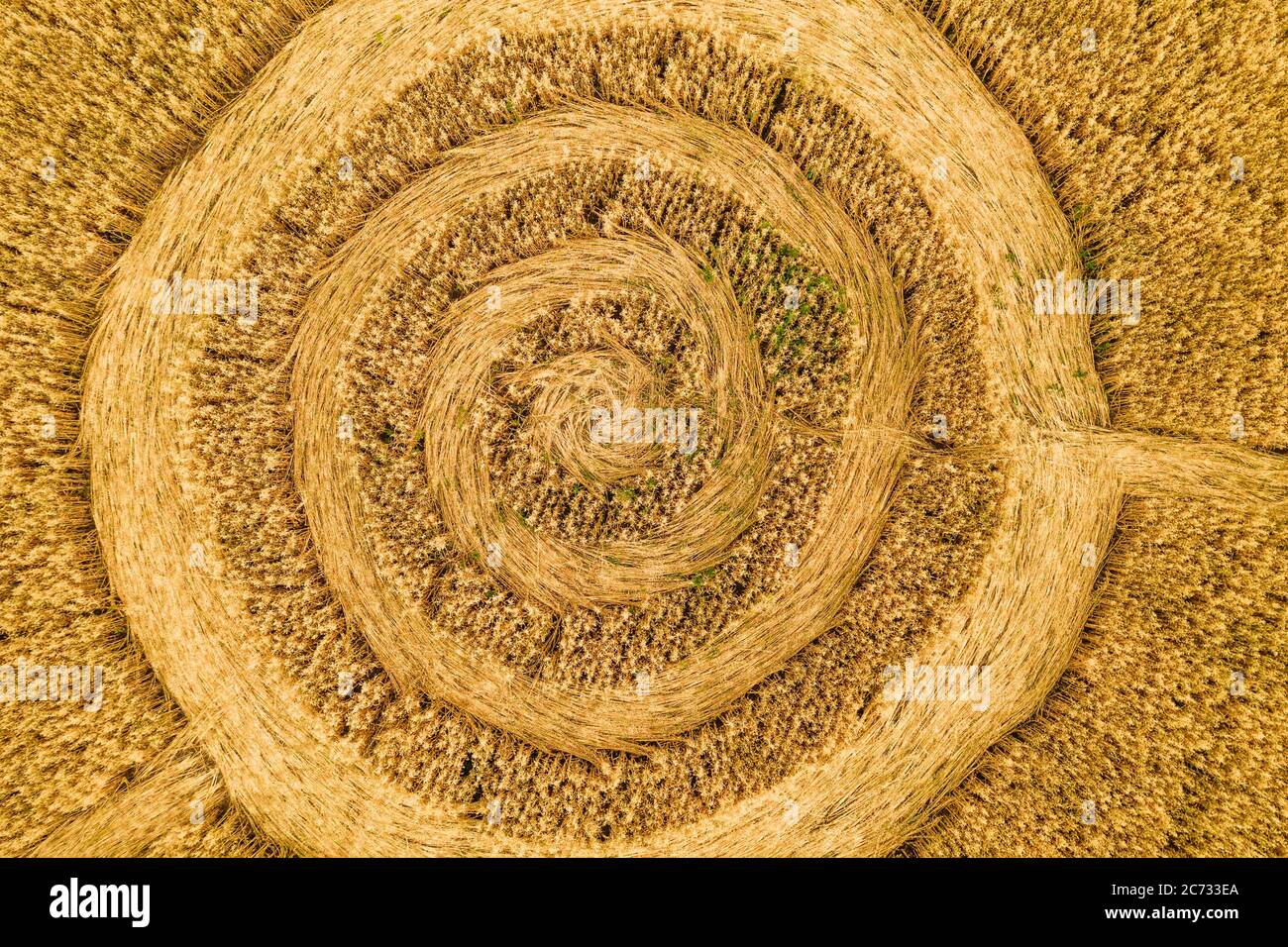 Fake UFO-Kreise auf Getreide-gelb Feld, Luftaufnahme von Drohne. Runde Geometrie Form Symbole als Alien Zeichen, Geheimnis Konzept. Stockfoto