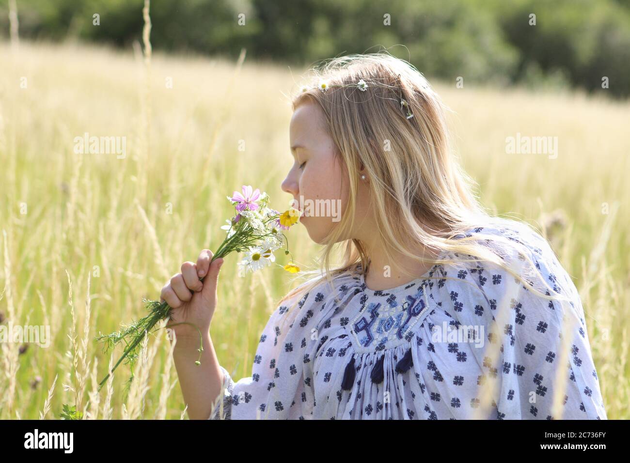 Ein junges hübsches Hippie-Mädchen mit blonden Haaren hält im Sommer in einem Weidefeld eine schicke wilde Blume im Sonnenschein. Stockfoto