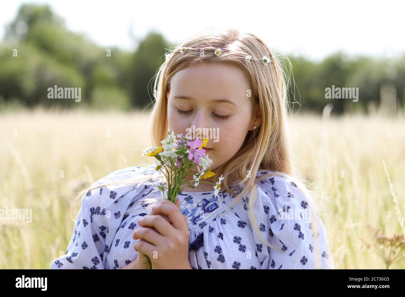 Ein junges hübsches Hippie-Mädchen mit blonden Haaren hält im Sommer in einem Weidefeld eine schicke wilde Blume im Sonnenschein. Stockfoto