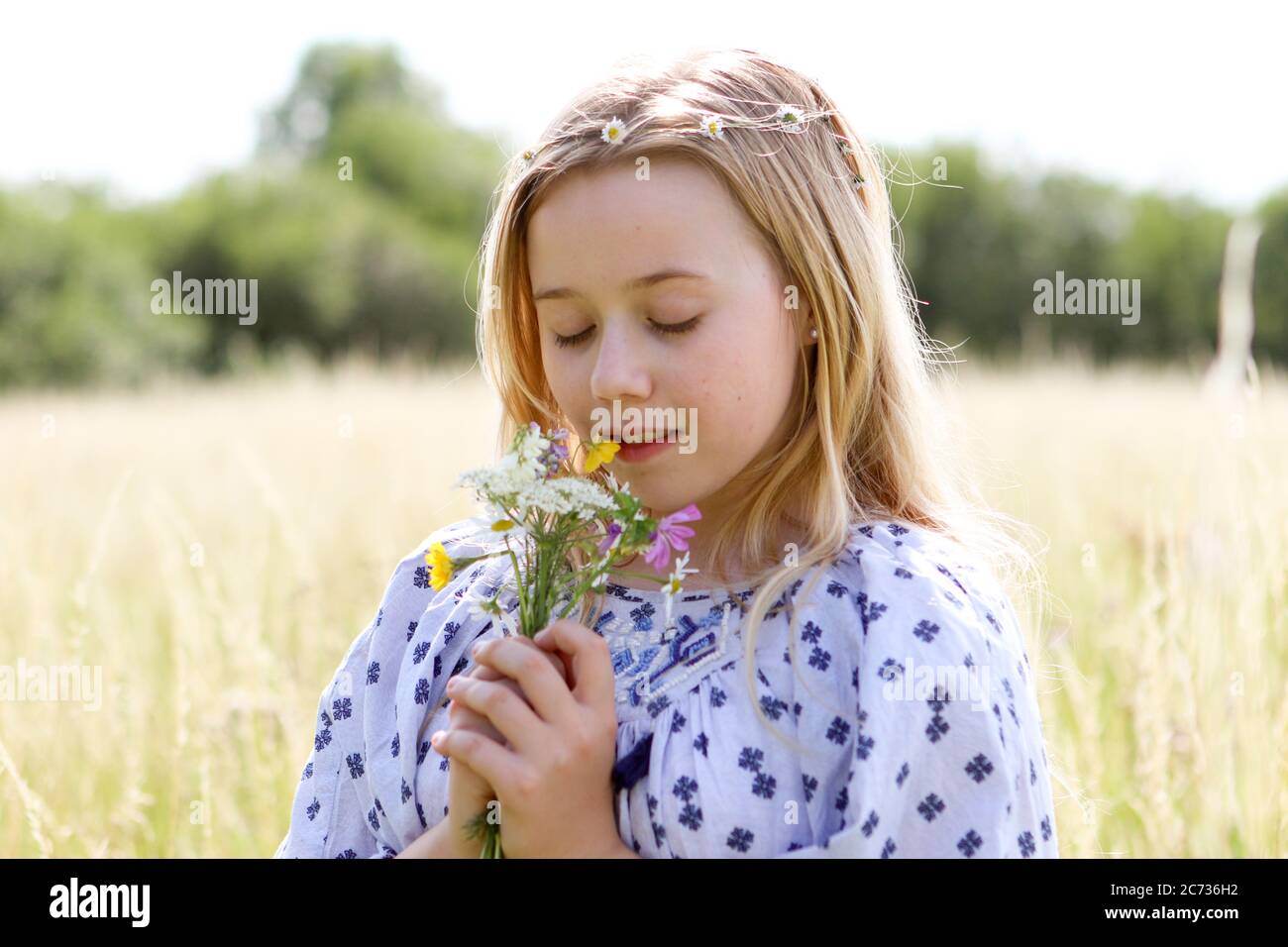 Ein junges hübsches Hippie-Mädchen mit Gänseblümchen-Kette in ihren blonden Haaren hält im Sommer auf einem Weidefeld eine schicke wilde Blume im Sonnenschein. Stockfoto