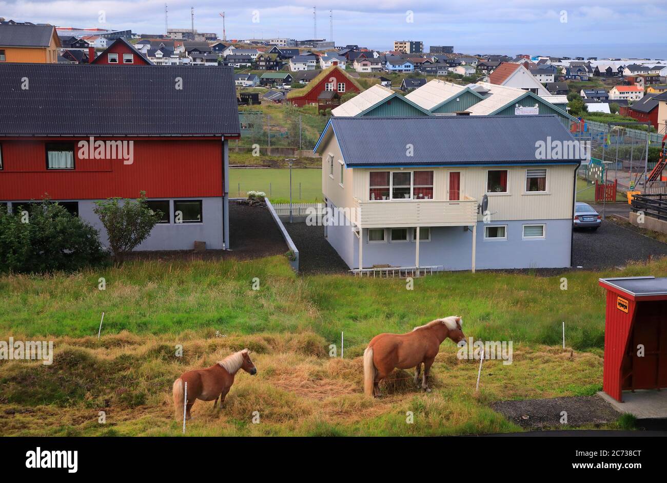 Der Blick von Pferden in einem Hinterhof in einer Wohngegend.Torshavn. Streymoy.Färöer-Inseln.Territorium von Dänemark Stockfoto