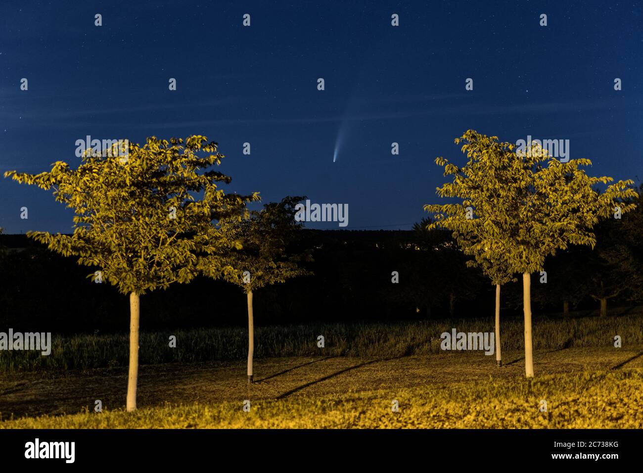 Bad Rappenau, 13. Juli 2020: Komet C/2020 F3 (Neowise) zwischen einigen Bäumen im Salinenpark Stockfoto