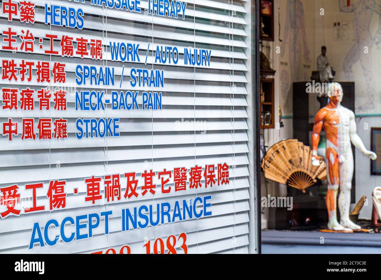 San Francisco Kalifornien, Chinatown, Waverly Place, Schaufenster, Verkauf der traditionellen chinesischen Medizin, Alternative, Akupunkturpunkte, anatomisches Modell, Stockfoto