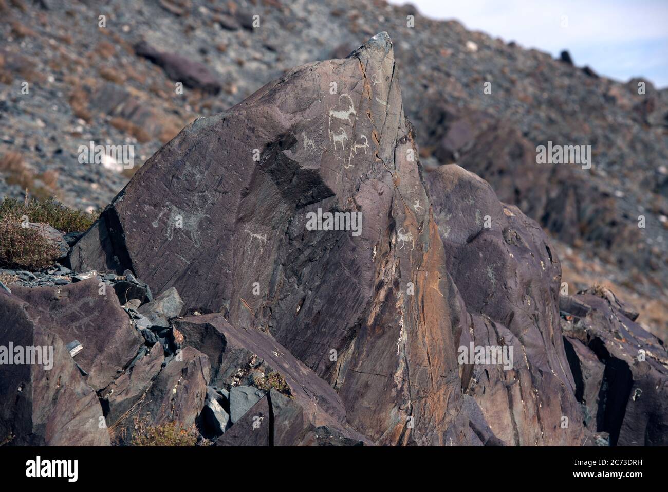 Felszeichnungen (in Felsen gehauene Kunst) dokumentieren die Anwesenheit von uralten, prähistorischen menschlichen Gesellschaften in der Provinz Bayan-Ölgii, Westmongolei. Stockfoto