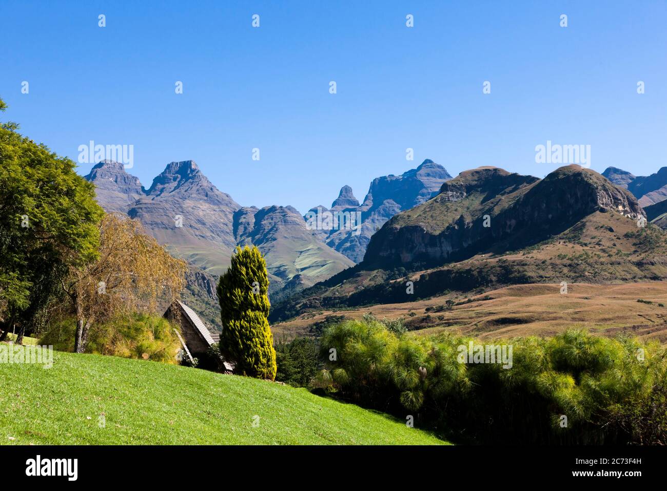 Drakensberg, Cathedral Peak Hotel, Garten und Berge, Giants Castle Game Reserve, Uthukela District, KwaZulu-Natal Province, Südafrika, Afrika Stockfoto