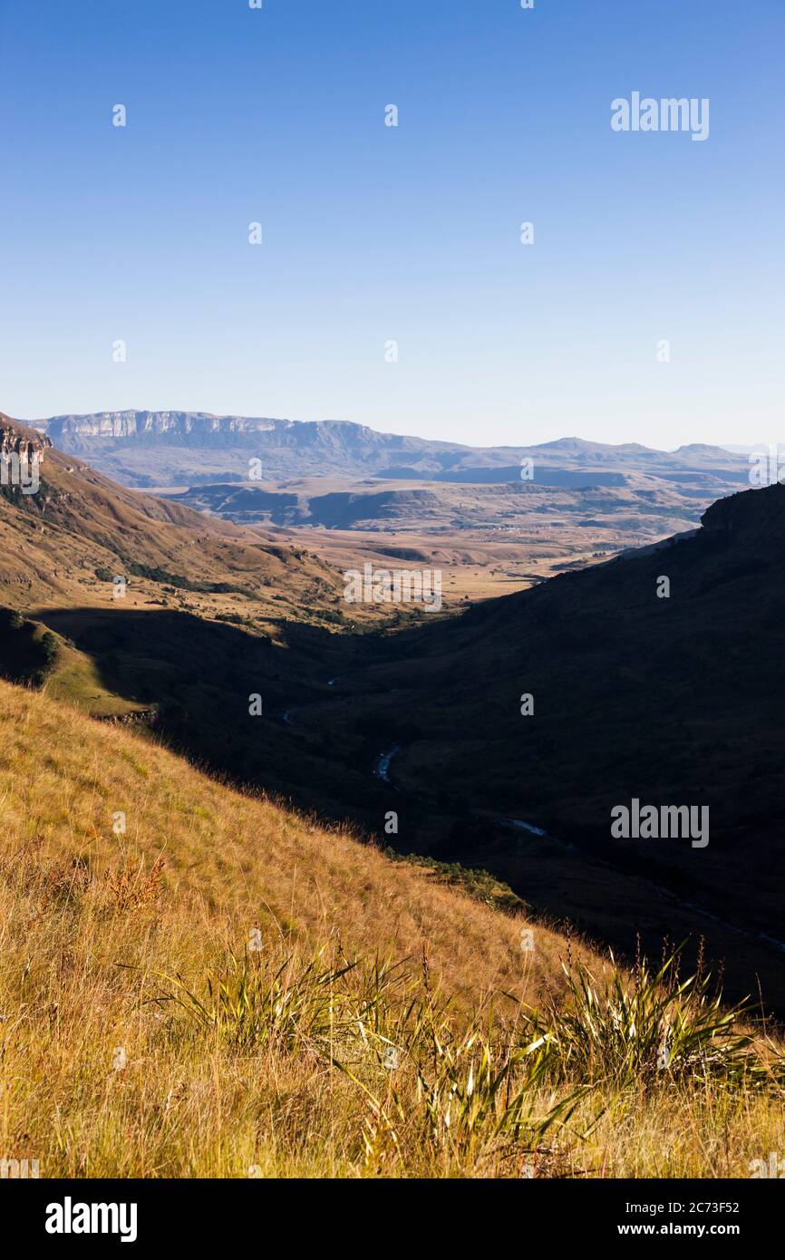 Drakensberg, Didima Schlucht und Berge, Cathedral Peak, Giants Castle Game Reserve, Uthukela District, KwaZulu-Natal Provinz, Südafrika, Afrika Stockfoto