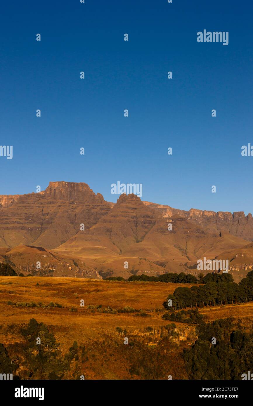Drakensberg, Champagne Castle Mountain, Morning, Giants Castle Game Reserve, Uthukela District, KwaZulu-Natal Province, Südafrika, Afrika Stockfoto