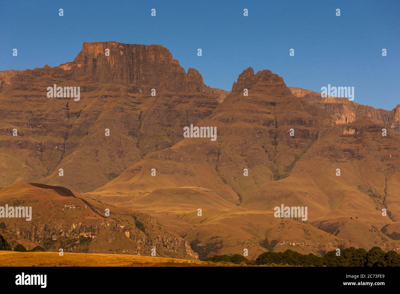 Drakensberg, Champagne Castle Mountain, Morning, Giants Castle Game Reserve, Uthukela District, KwaZulu-Natal Province, Südafrika, Afrika Stockfoto