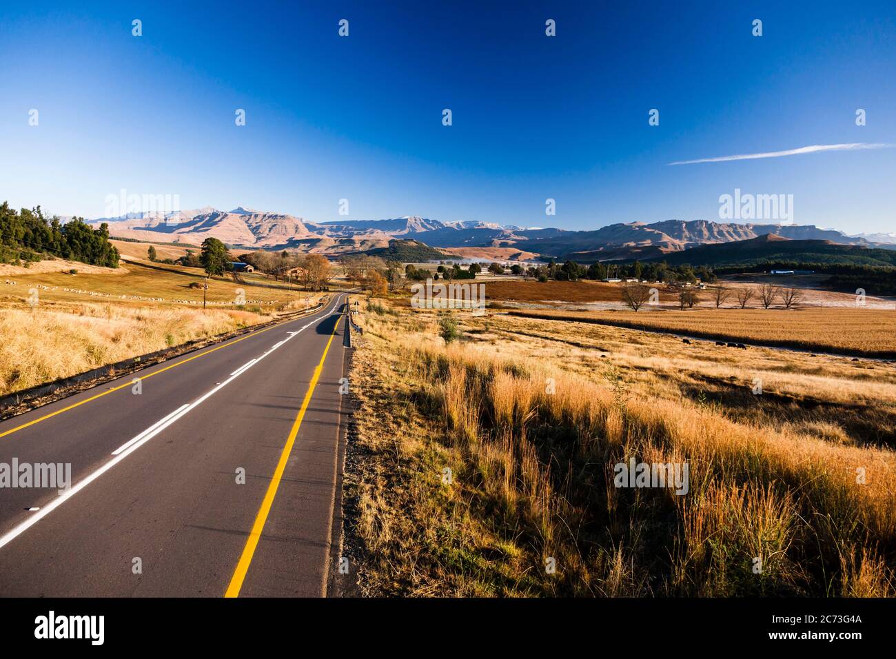 Drakensberg, Morgenansicht der Berge, Sani Pass Road, Underberg, in der Nähe von Mkhomazi Wildnis, KwaZulu-Natal, Südafrika, Afrika Stockfoto