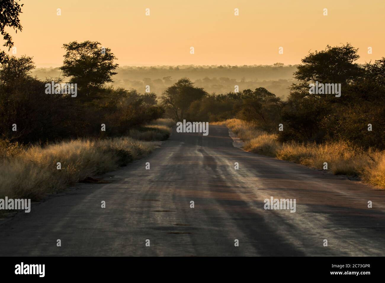 Lange Schotterstraße für Safari am Morgen, Kruger Nationalpark, Mpumalanga Provinz, Südafrika, Afrika Stockfoto