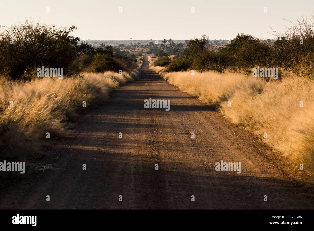 Lange Schotterstraße für Safari am Abend, Kruger Nationalpark, Mpumalanga Provinz, Südafrika, Afrika Stockfoto