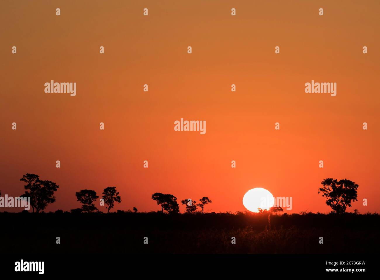 Sonnenuntergang von Savanne, Kruger Nationalpark, Mpumalanga Provinz, Südafrika, Afrika Stockfoto
