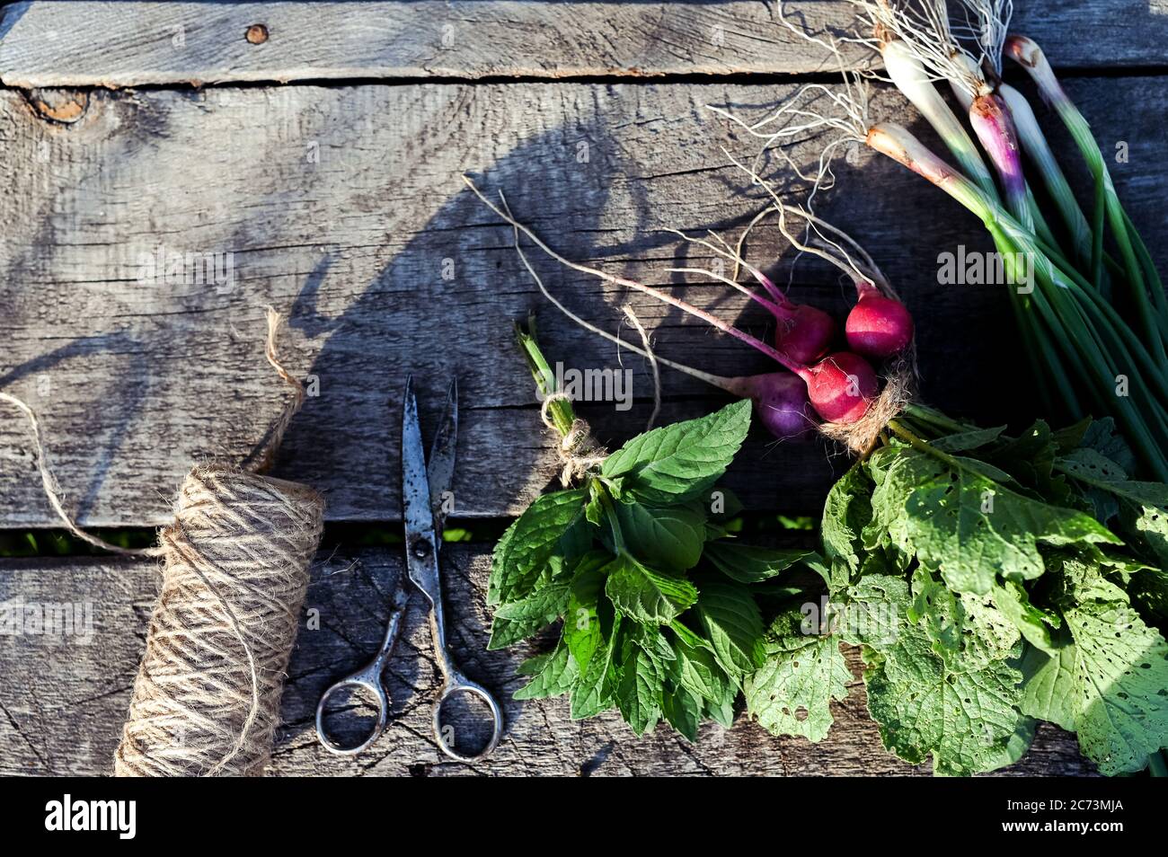 Zwiebeln, Rettich und Minze auf einem alten Holztisch. Essen rustikalen Hintergrund Stockfoto