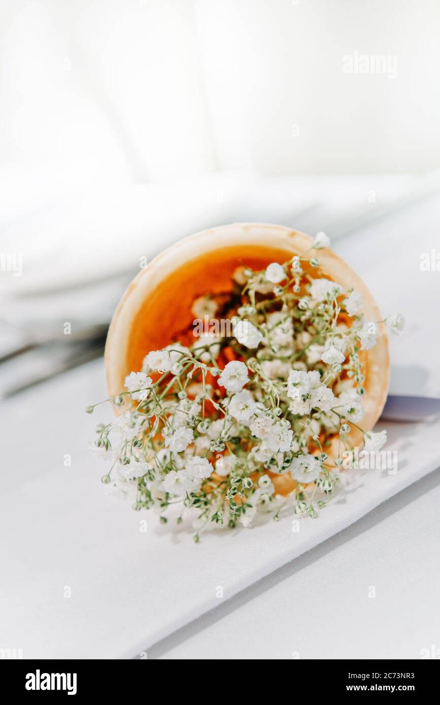 Zarte weiße Gypsophila Blüten in Eiskegel. Die Hochzeitsdekoration. Tischset für eine Veranstaltung oder Hochzeitsfeier. Schöne Blumen auf dem Tisch. Stockfoto