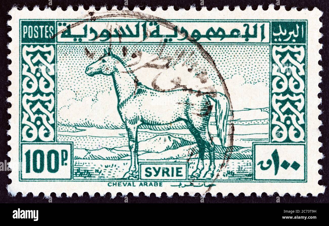 SYRIEN - UM 1946: Eine in Syrien gedruckte Briefmarke zeigt arabisches Pferd, um 1946. Stockfoto