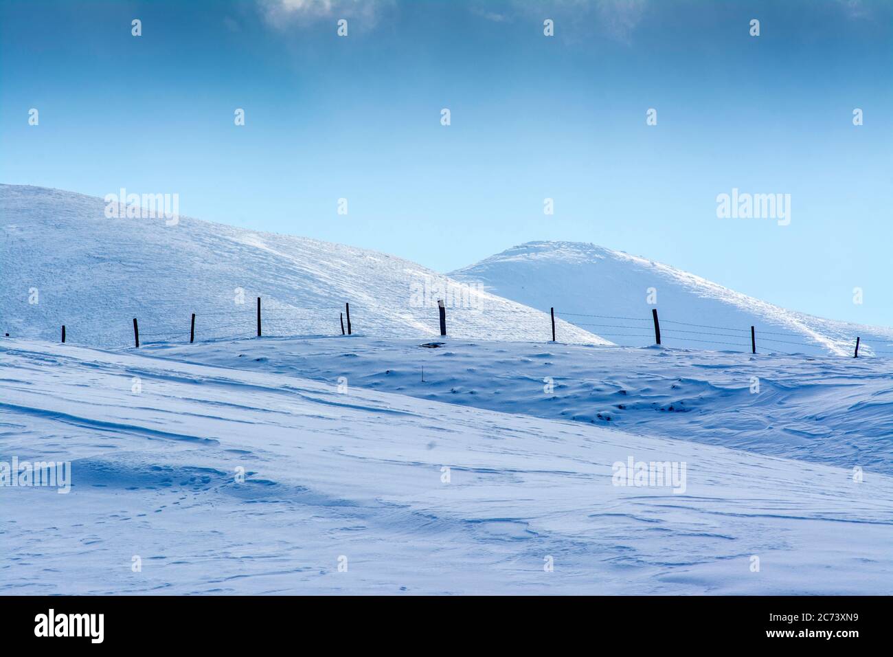 Beiträge in einer Winterlandschaft in der Auvergne, Frankreich Stockfoto