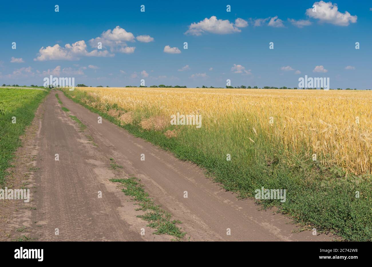 Sommerlandschaft mit gerader Erdstraße neben reifer Weizenfeld in der Nähe von Dnipro Stadt, Ukraine Stockfoto