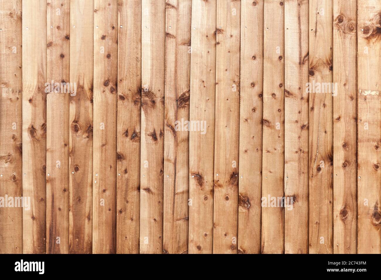 Natürliche neue Holzwand aus getönten flachen Kiefernholzplanken. Hintergrund Foto Textur, Frontalansicht Stockfoto
