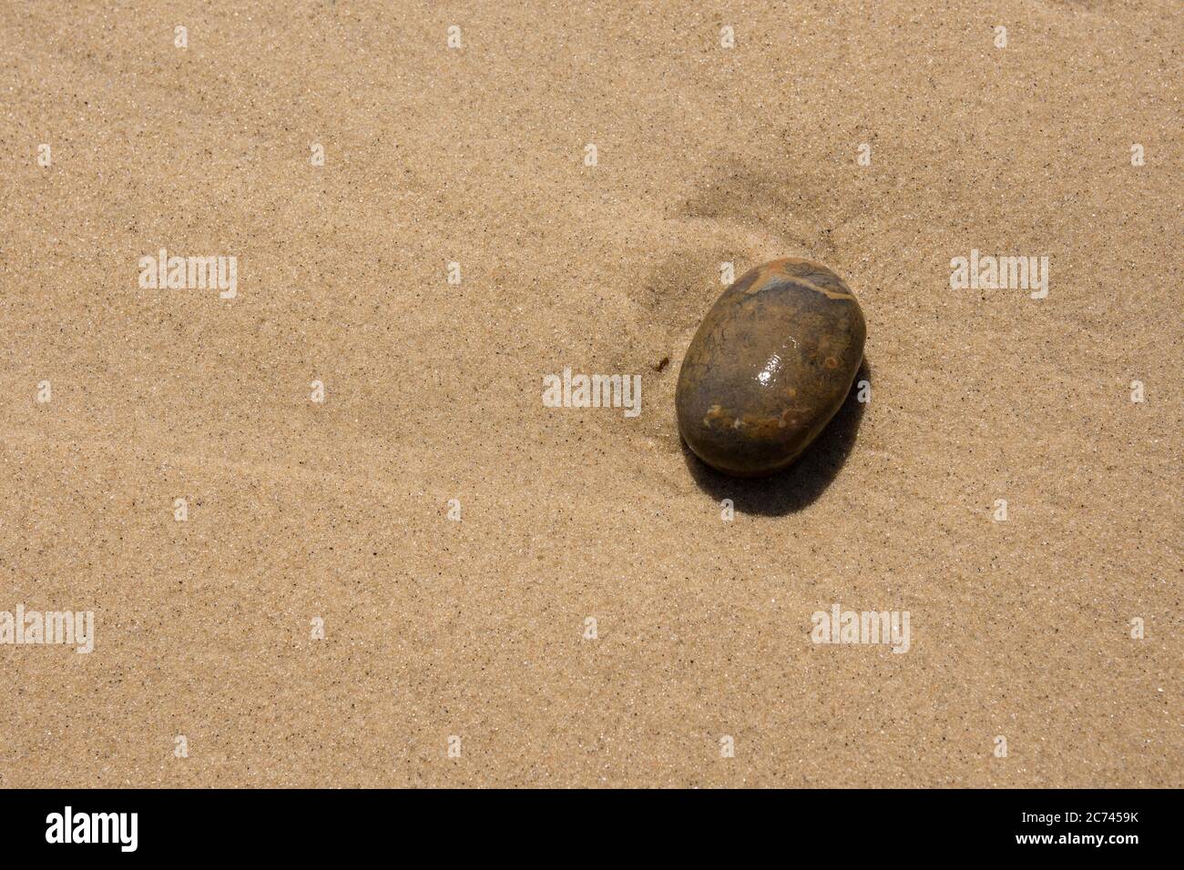 Ein einzelner glatter Strand Kieselsteine vor einem Hintergrund von glattem Wasser gewaschen Sand Stockfoto