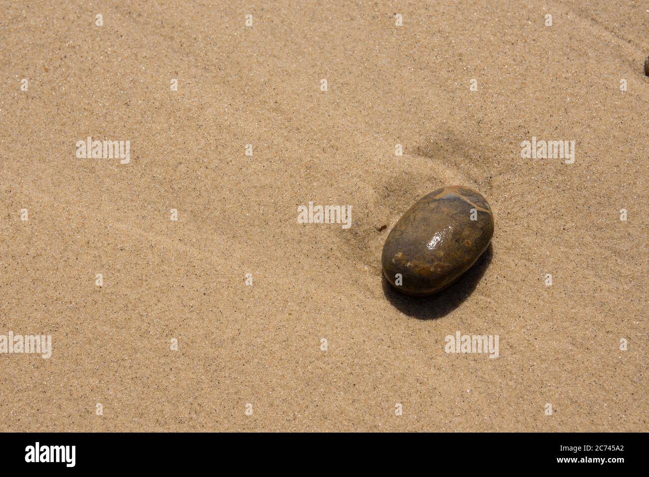 Ein einzelner glatter Strand Kieselsteine vor einem Hintergrund von glattem Wasser gewaschen Sand Stockfoto