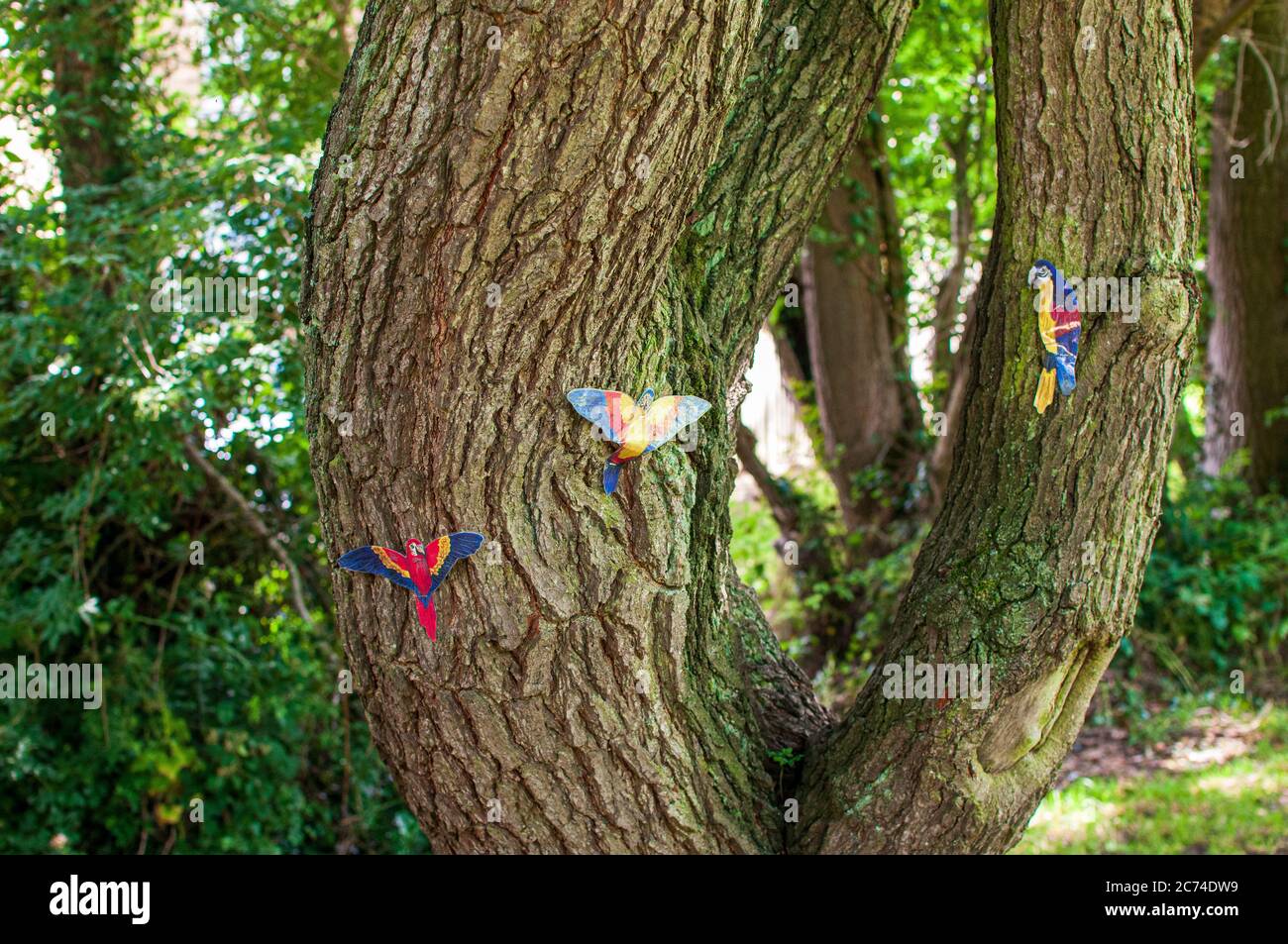Baum mit Bildern von bunten Vögeln Stockfoto