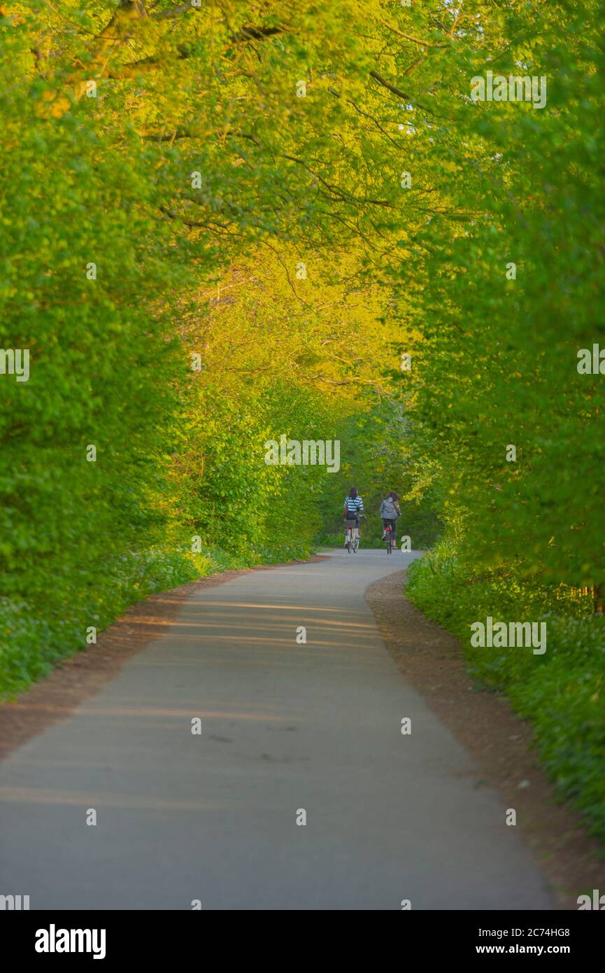 Zwei Radfahrer im Frühjahr, Deutschland, Hamburg, Hummelsbüttler Feldmark Stockfoto