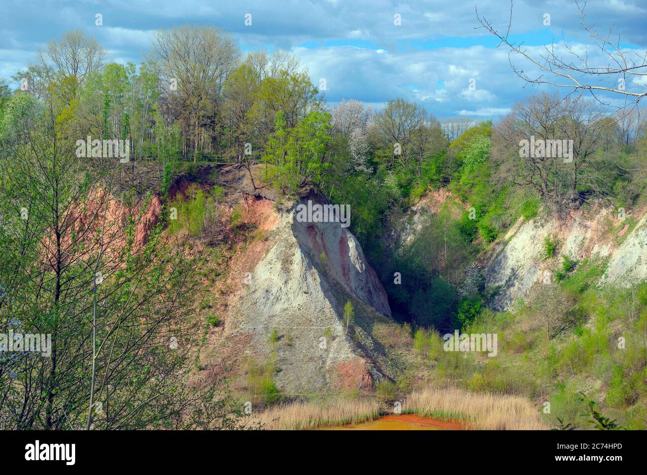 Kalkgrube lieth, National Geotop, Deutschland, NSG Liether Kalkgrube, Klein Nordende Stockfoto