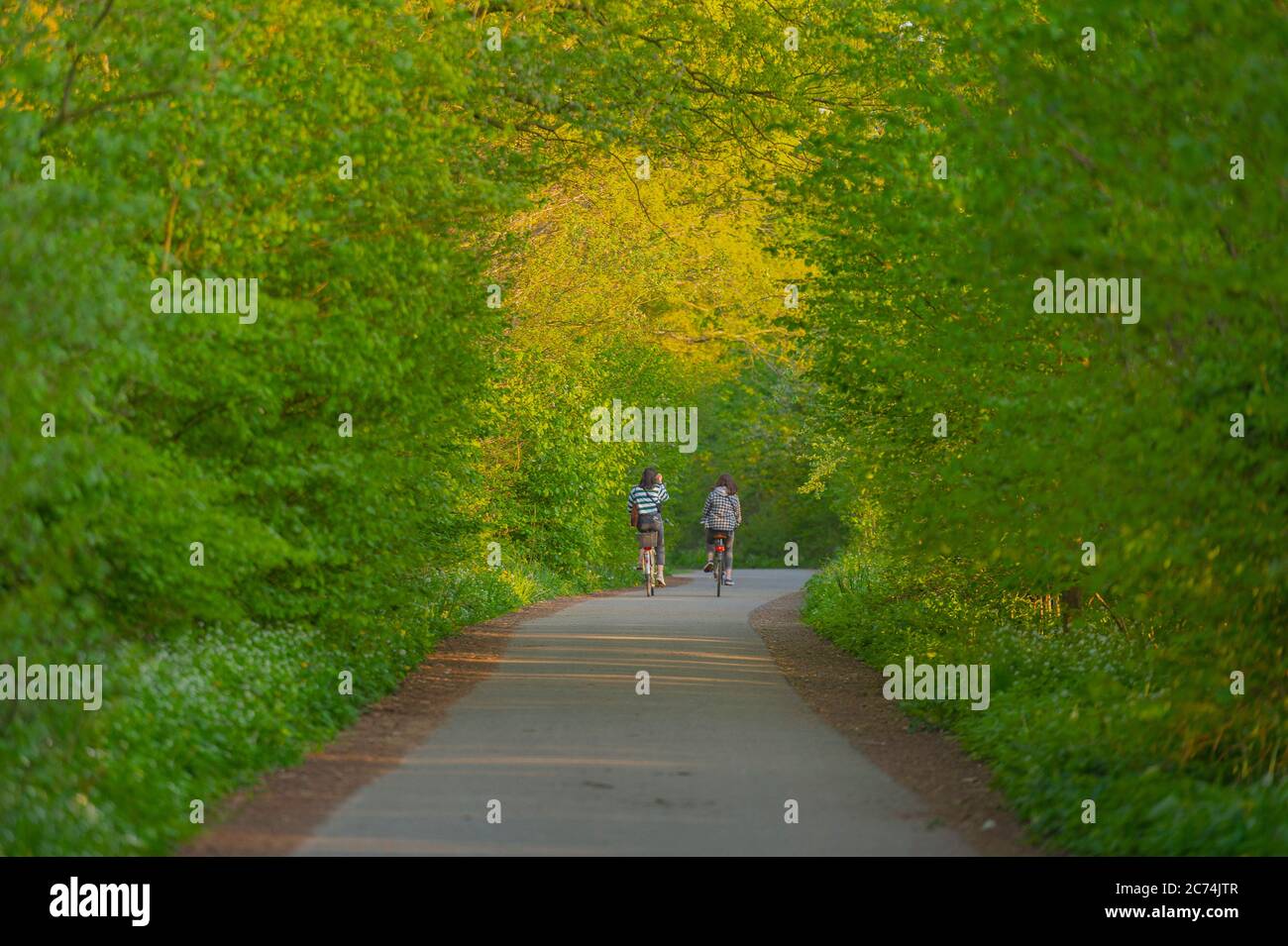 Zwei Radfahrer im Frühjahr, Deutschland, Hamburg, Hummelsbüttler Feldmark Stockfoto