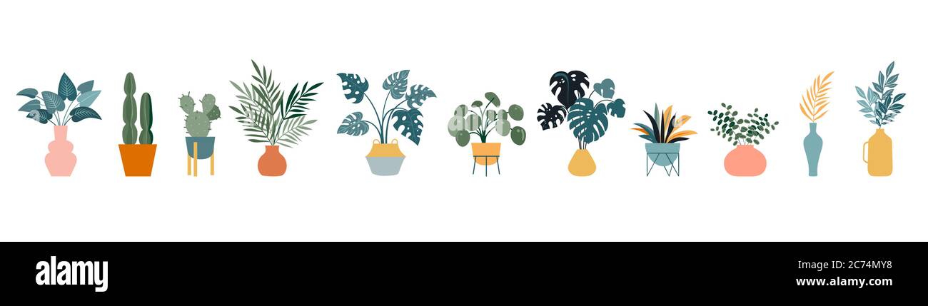 Urbaner Dschungel, trendige Wohnkultur mit Pflanzen, Kakteen, tropischen Blättern in stilvollen Pflanzgefäßen und Töpfen. Vektorgrafik Stock Vektor