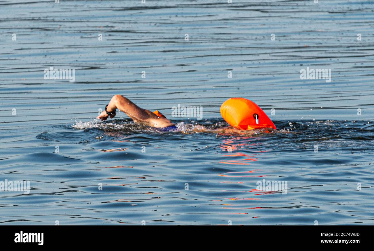 Ein Mann schwimmt in der Bucht mit einem orangefarbenen Flotationsgerät, das hinter ihm schwimmt und für einen Triathlon trainiert. Stockfoto