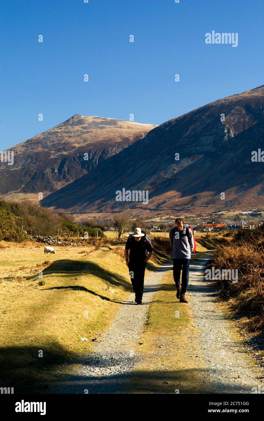 Wanderer auf Llyn Coastal Footpath, in der Nähe von Trefor, Lleyn Halbinsel Caernarfon, Gwynedd, Nordwales. Stockfoto