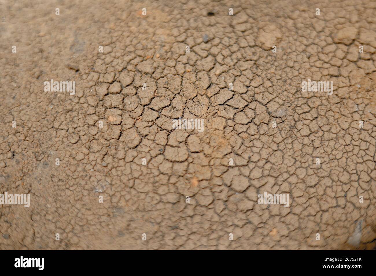 Braun trockene Erde Hintergrund auf der Oberseite Ansichten Stockfoto