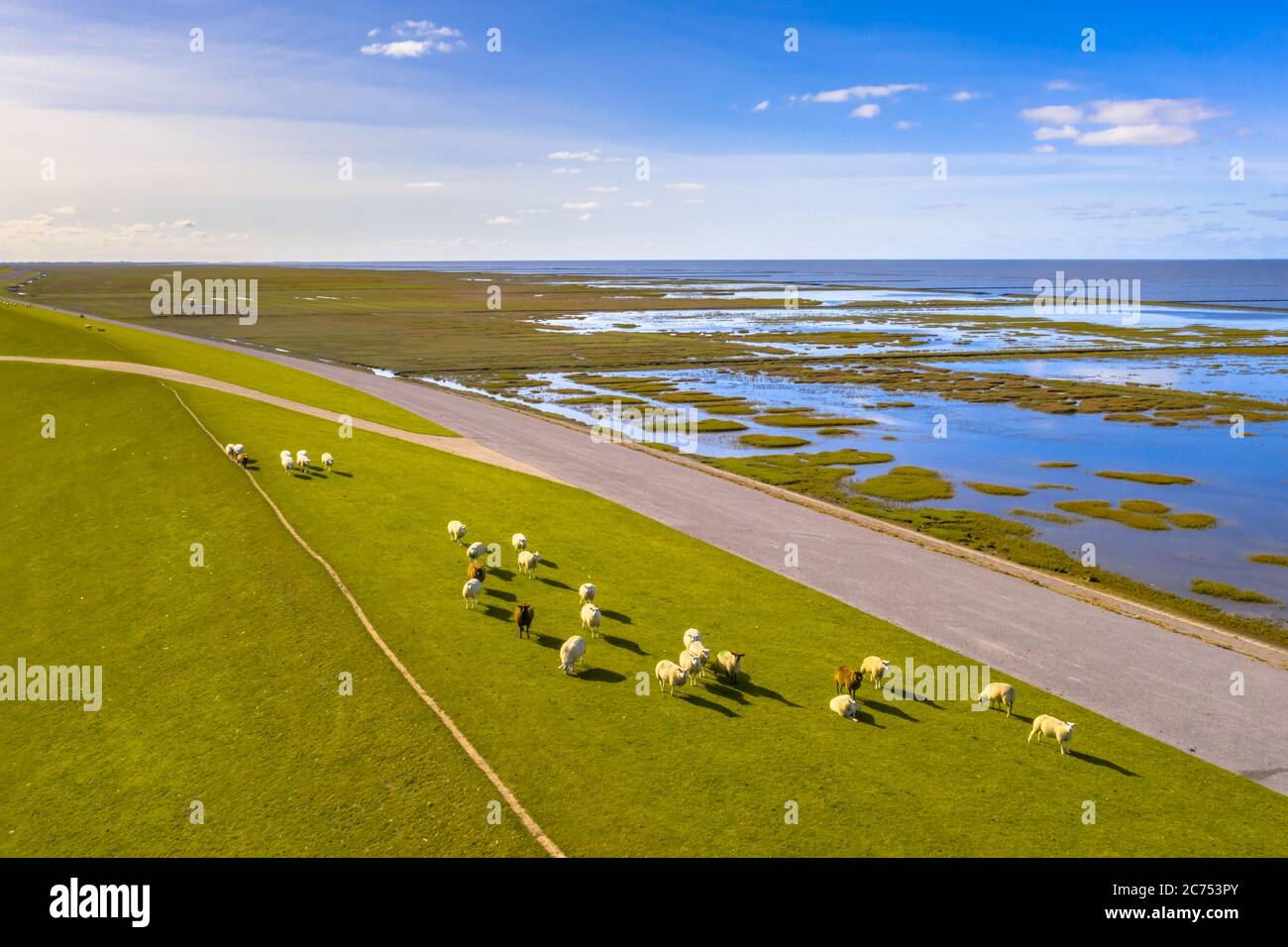Luftaufnahme von Schafen auf Seedeich in der Nähe Tidal Marschland Nationalpark und UNESCO-Weltkulturerbe Waddensea in der Provinz Groningen grasen. Netherl Stockfoto