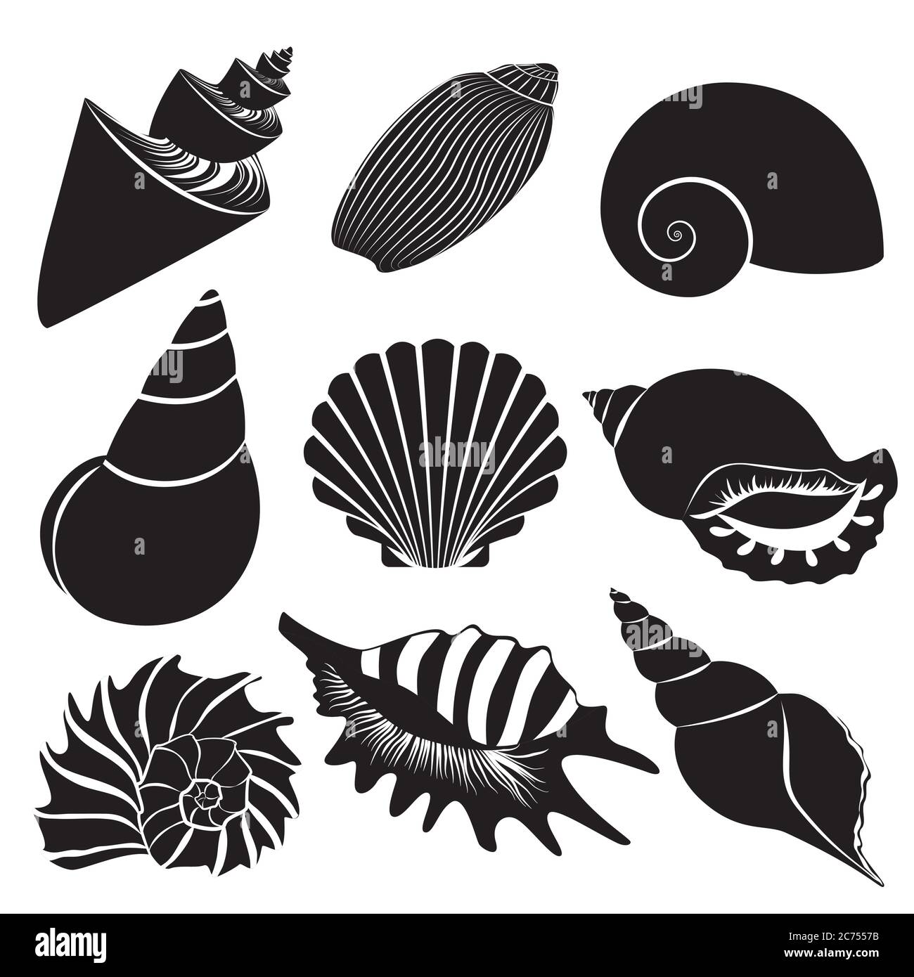 Vector Muscheln. Seashell Silhouetten Set Kollektion Stock Vektor