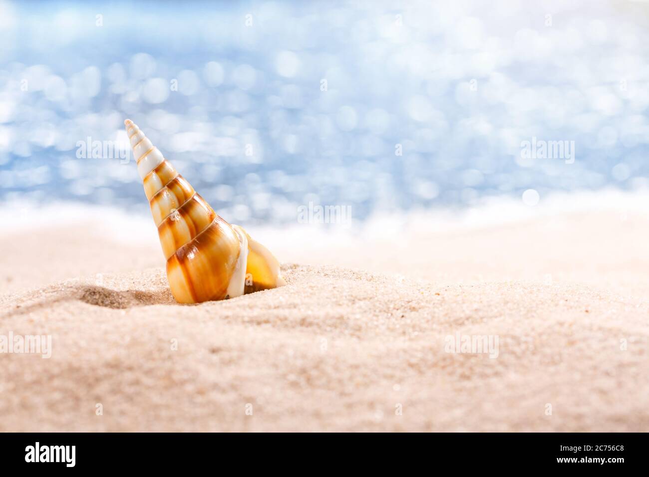 Große bunte Muschel auf einem tropischen gelben Sandstrand vor blauem Meeresgrund. Für Text platzieren, Nahaufnahme. Stockfoto