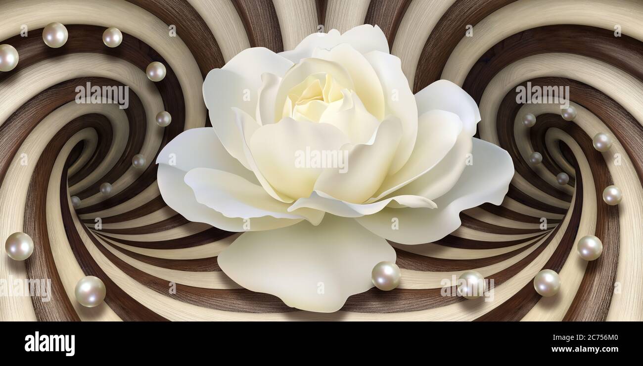 3d-Tapete, weiße Rose und Perlen auf optischem Illusions-Hintergrund Stockfoto
