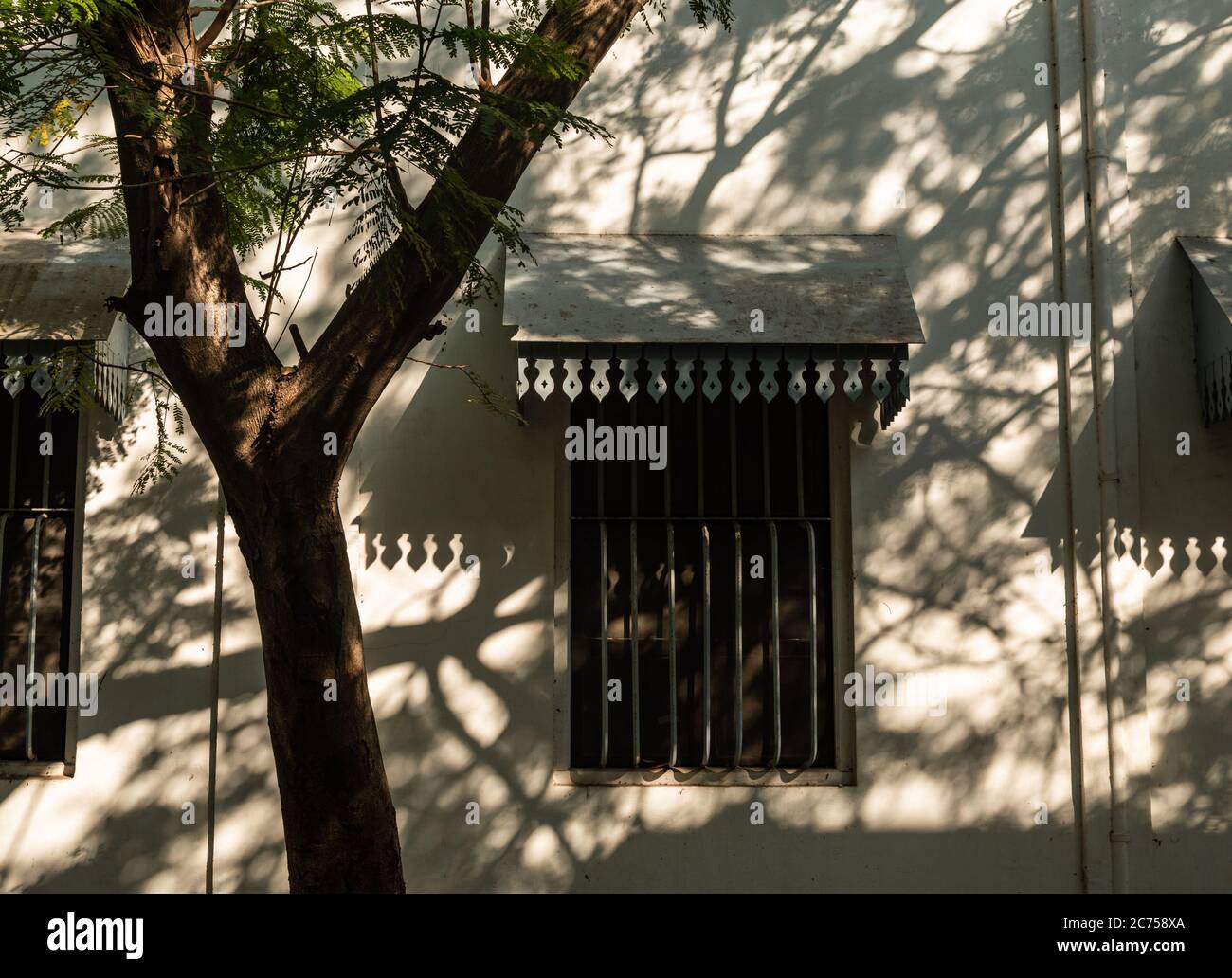 Pondicherry. Indien - Februar 2020: Fenster eines alten französischen Hauses mit Schatten des Laubes. Stockfoto