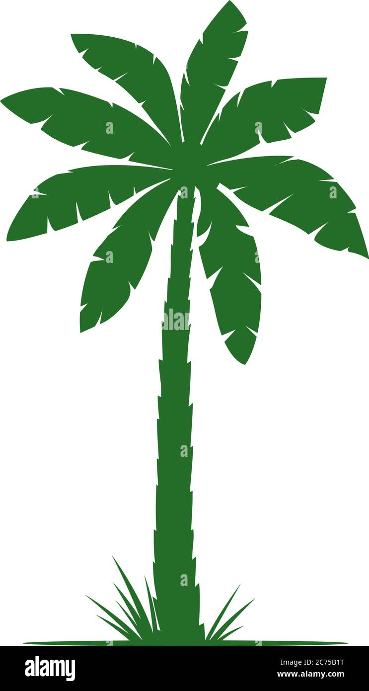 Grüne Palmen, Silhouette Vektor-Illustration, isoliert auf weißem Hintergrund. Vektorgrafik. Einfach Piktogramm. Florales Element. Stock Vektor